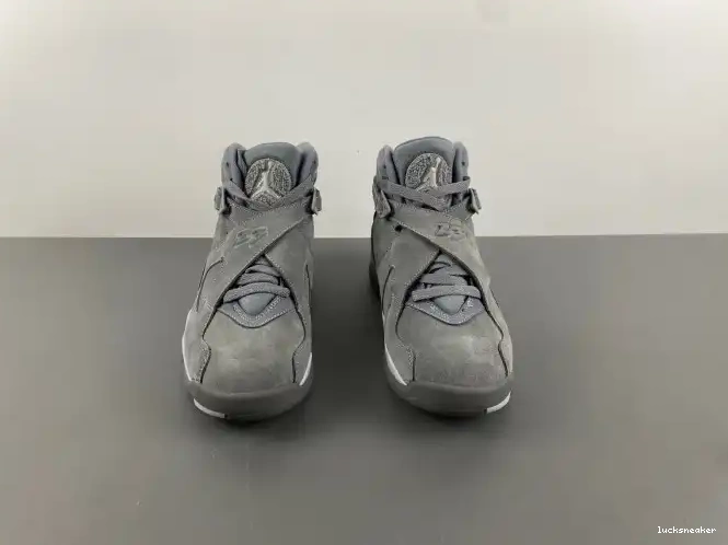 Reps LUCY 8 Retro Cool Jordan Grey 305381-014 0521
